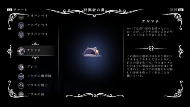 Hk Enemy Zukan059mistake