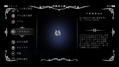 Hk Enemy Zukan155wingmould