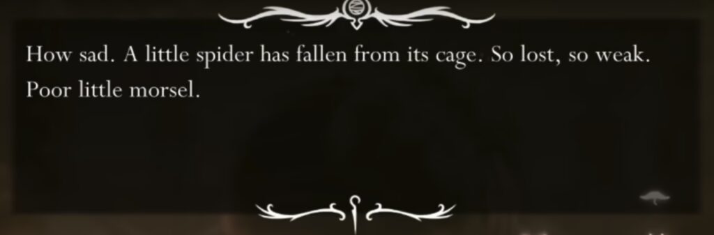 Ss Others Demo Lace02